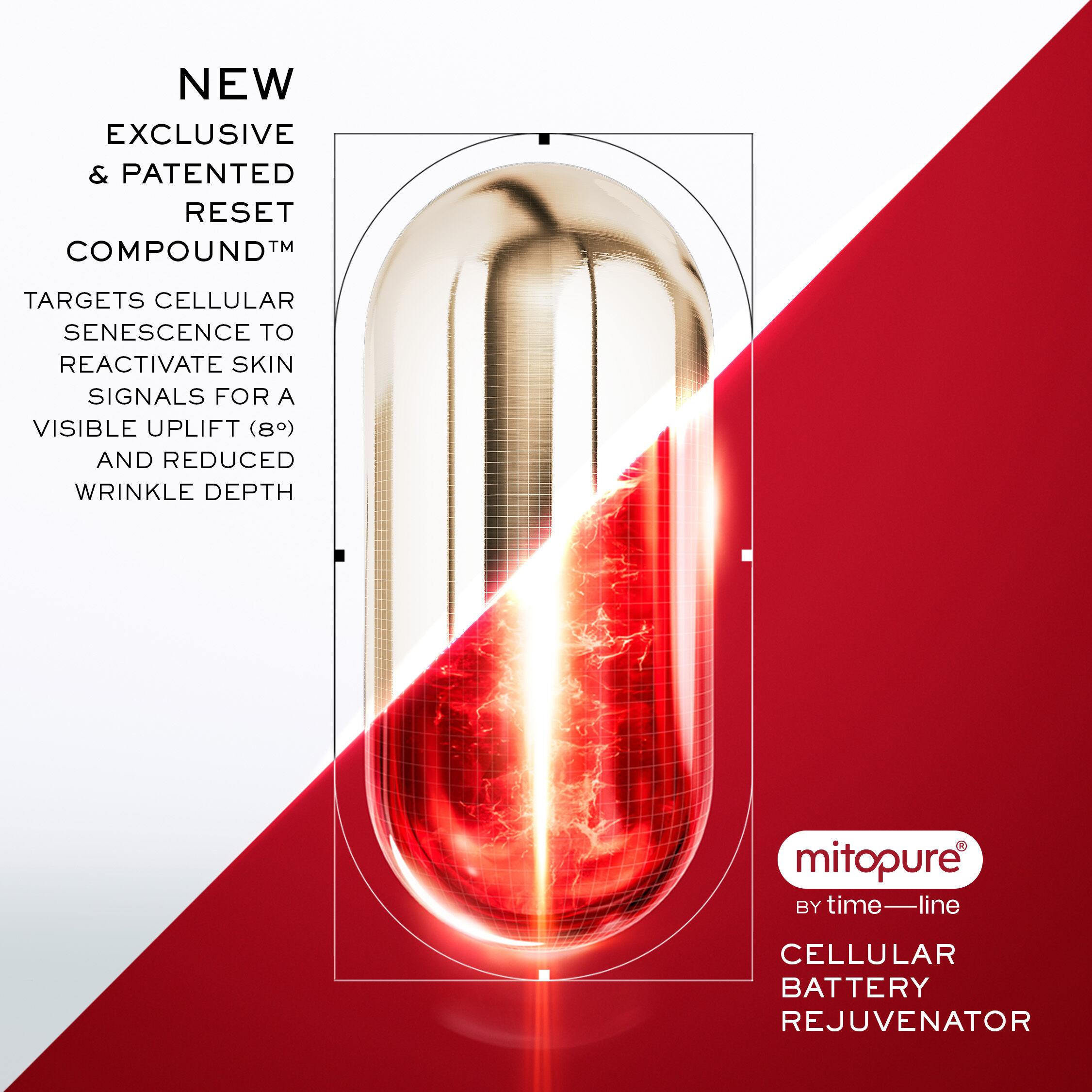 Absolue Longevity MD Reset The Cream