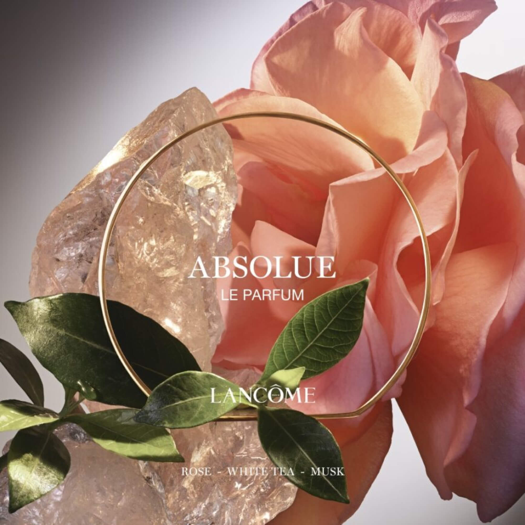 Le Parfum Eau de Parfum - Absolue Les Parfums - Lancôme