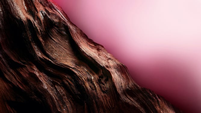 A dark, textured, and glossy wood-like element with reddish undertones cuts diagonally across a soft pink background.